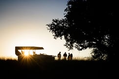 Game drives in Kafue Park and stopping when sundown