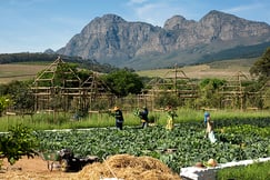 Babylonstoren