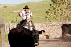 Estancia Los Potreros