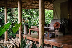 Gorilla Forest Camp