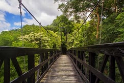 The bridge you can find at Morgan's Rock