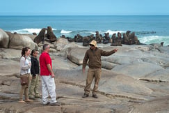 Hoanib Skeleton Coast