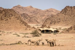 Hoanib Skeleton Coast