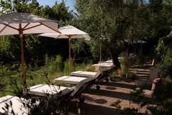 Pool garden of luxury hotel in Nice