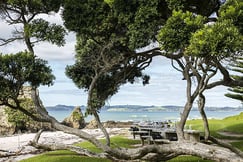 The Lodge at Kauri Cliffs