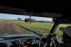 On safari in Kenya's Maasai Mara