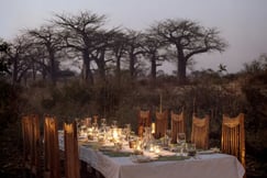 Dining under the stars with Baobab trees in distant