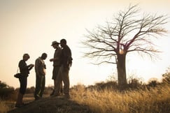 Walking with a guide on safari in Tanzania