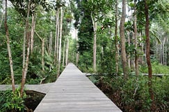 Kinabatangan Wetlands Resort