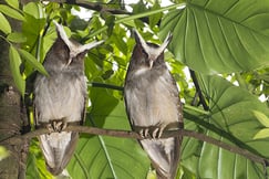 La Selva Eco-Lodge and Retreat