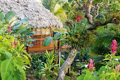 Lamanai Outpost Lodge