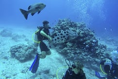 Lizard Island