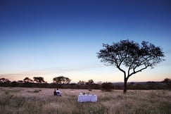 Londolozi Tree Camp