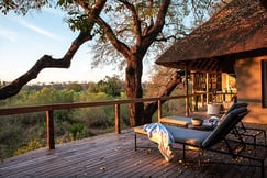 Londolozi Varty Camp