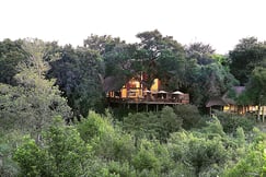 Londolozi Varty Camp