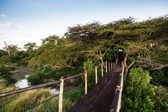 Mara Plains Camp