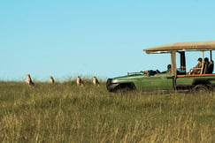 Mara Plains Camp