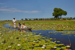 Xigera Safari Lodge