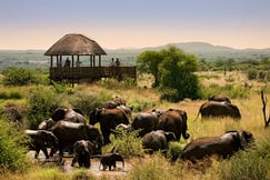 Morukuru Farm House