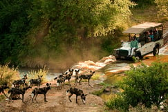 Morukuru Farm House