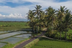 Outdoor cycling area at Bali luxury hotel