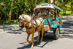 Oberoi Lombok