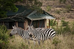 Offbeat Mara Camp