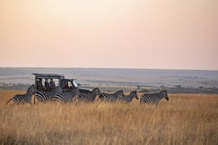 Offbeat Mara Camp