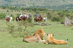 Offbeat Riding Safaris