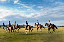 Offbeat Riding Safaris