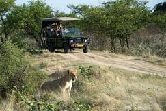 Ongava Lodge