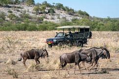 Ongava Lodge