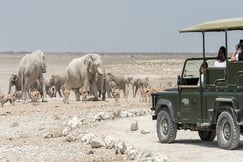 Ongava Tented Camp