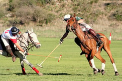 Estancia Los Potreros