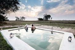 Plunge pool with the wildlife view