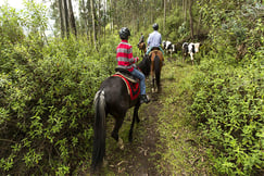 Hacienda Cusin