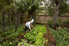 Hacienda Cusin