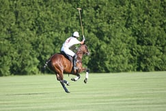 Quito Polo Club