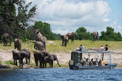 Zambezi Queen