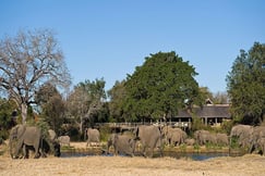 Sabi Sabi Bush Lodge