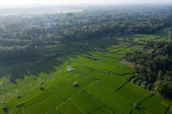 The Samaya Ubud