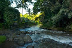 The Samaya Ubud