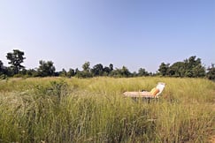 Samode Safari Lodge