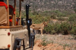 Saruni Samburu