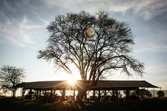 Serengeti Safari Camp