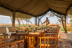 Serengeti Safari Camp