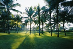 Shangri-La’s Mactan Resort & Spa