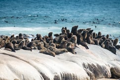 Skeleton Coast Shipwreck Lodge