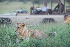 Singita Sabora Tented Camp