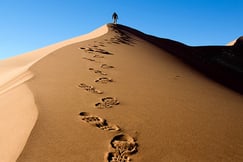 Skeleton Coast Safaris